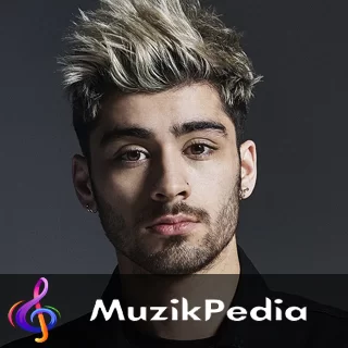 ZAYN - Fuchsia Sea Şarkı Sözleri