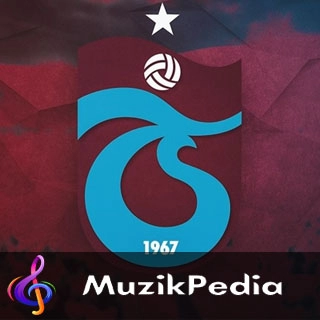 MuzikPedia Sanatçısı