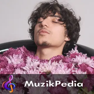 MuzikPedia Sanatçısı