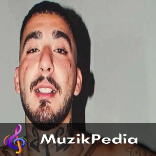 MuzikPedia Sanatçısı