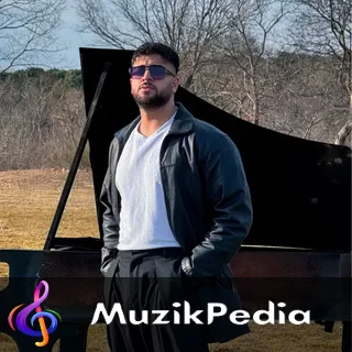 Zedi - Düşlerimden Gitmedin Şarkı Sözleri