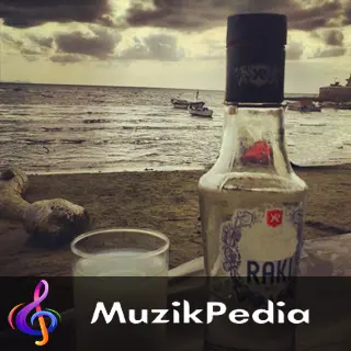 MuzikPedia Sanatçısı